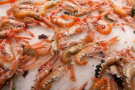 西班牙巴塞罗那的La Boqueria市场动物海鲜品味熟食杂货店小龙虾食物菜单展示摊位图片