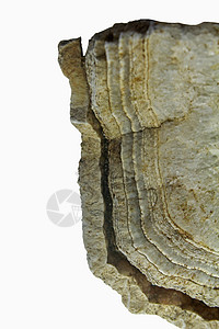 矿物开矿地基岩石二氧化硅大理石紫晶白色艺术宏观石英矿物质石头宝石图片