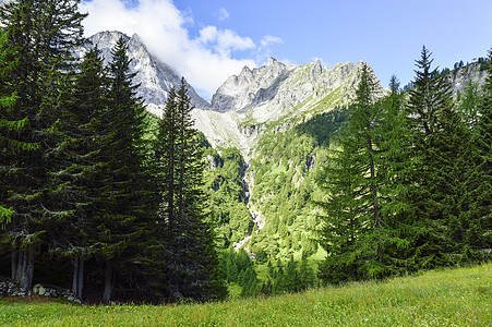 夏季山地景观(年夏)图片