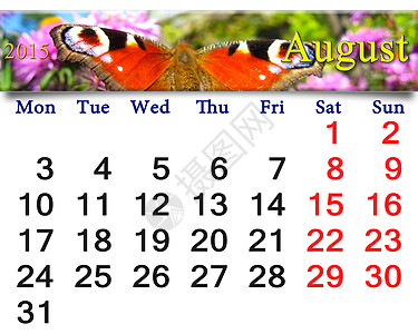 2015年8月日历 孔雀眼花蜜日记日程商业眼睛数字蝴蝶胡子时间生活图片