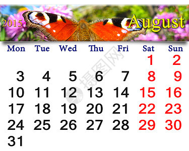 2015年8月日历 孔雀眼花蜜日记日程商业眼睛数字蝴蝶胡子时间生活图片