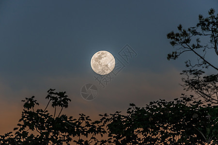 在秘鲁马德雷德迪奥斯的亚马逊雨林中满月高清图片