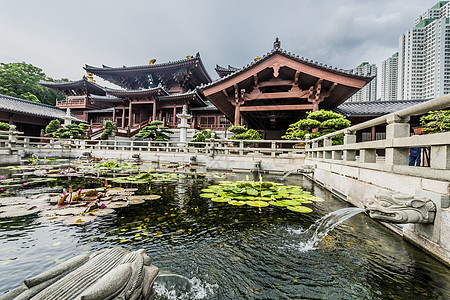 香港九龙志莲净苑喷泉佛教徒寺庙风景宗教名胜地标旅行建筑学图片