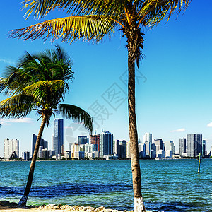 迈阿密市中心天线全景景点旅游海岸线地标目的地公寓反射海洋建筑图片