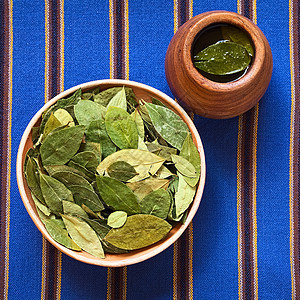 干古柯叶和茶草本黏土杯子绿色拉丁食物输液植物传统草本植物图片