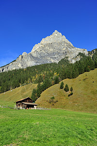 瑞士现场农家好天气天空晴天高山谷仓山坡牧场爬坡森林图片