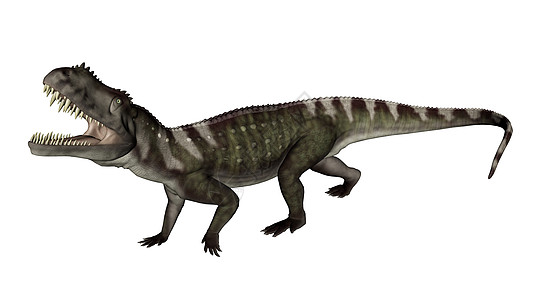 恐龙先兆的咆哮  三维化身插图鳄鱼爬虫白色野生动物动物绿色图片