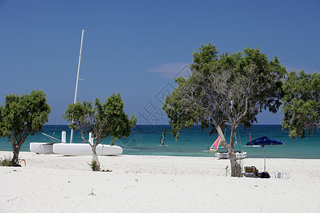 科斯岛马斯蒂沙里海滩场景酒馆海岸冲浪双体遮阳伞假期风帆晒黑雨伞图片
