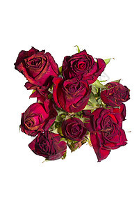 红玫瑰缝合叶子白色植物红色图片