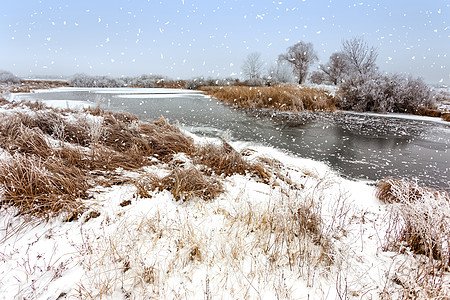 冬季风景降雪季节场地薄片雪花场景草地天空天气牧场图片