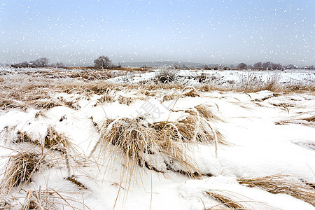 冬季风景木头远足雪堆雪花天空草地场地降雪暴风雪天气图片