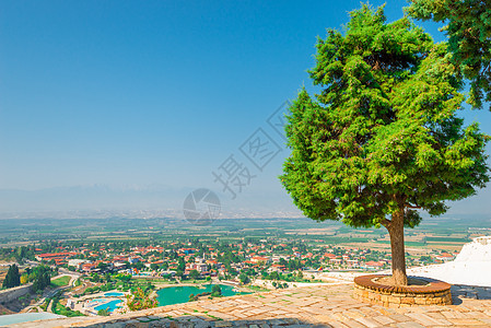 帕穆卡勒山上的红树和城市风景图片