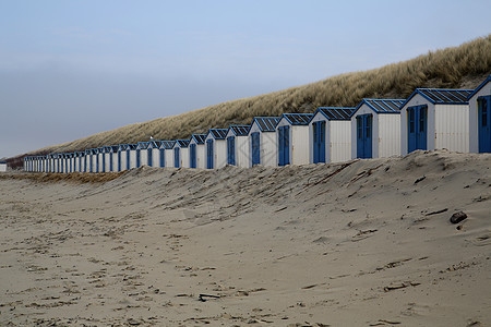 Texel海滩别墅建筑建筑学财产冲浪闲暇假期木头晴天海岸海景房图片