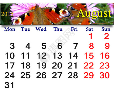 2015年8月日历 带有孔雀眼的蝴蝶图片