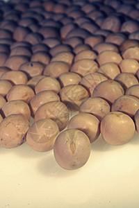 干白豌豆种子农业植物圆形粮食饮食豆子营养食物蔬菜图片