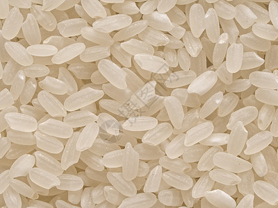 短期日本短谷物大米粮本底食物短粒抛光粮食水平白色糖类淀粉粳稻图片