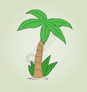 棕榈树的草图粉笔手绘艺术白色树木卡通片绿色黑色情调插图图片