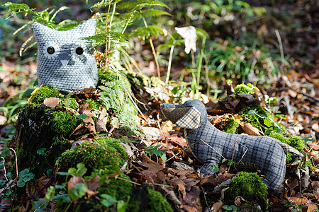 软玩具狗在秋林追猫头鹰树木羊毛森林乐趣毛绒手工孩子们环境礼物动物图片