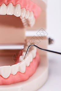 白牙牙科牙龈手术假牙外科牙线牙医塑料玩具口服图片