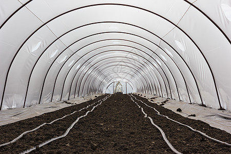 温室种植食物生长营养苗圃场地土地农场植物生态绿色植物图片