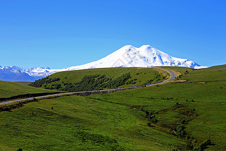 埃尔布鲁斯山是欧洲最高的顶峰草地牧场场地天空蓝色哺乳动物国家爬坡植物群晴天图片