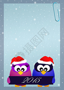 圣诞节猫头鹰卡通片鸟类庆典帽子季节插图明信片派对新年背景图片