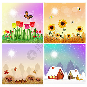 四个季节插图花朵黄色拼贴闲暇太阳快乐叶子树叶背景图片