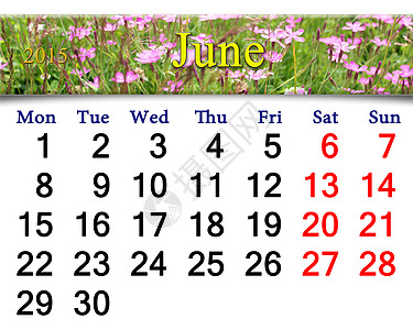 2015年6月日历 有野生康乃馨商业植物学丝带季节数字植物日记宏观植物群石竹图片