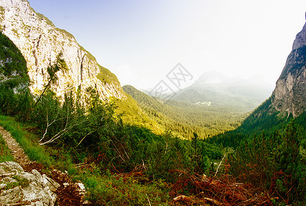 阿尔卑斯山脉美丽的景观     山区情景绿色山脉旅游旅行蓝色树木首脑冰川岩石天空图片