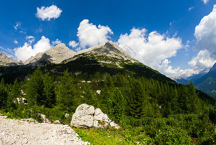多洛米人美丽的景观 夏天的山和树群岩石顶峰森林绿色蓝色天空图片