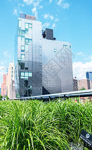 纽约市高线公园 阳光明媚的天气景象公园曲目景观花朵高线历史性建筑学绿色花园城市图片
