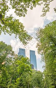纽约市曼哈顿中央公园植被 纽约市天际绿色旅行树木城市叶子旅游花园植物水平图片