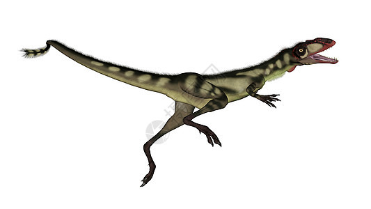 迪龙恐龙跳跃 - 3D背景图片