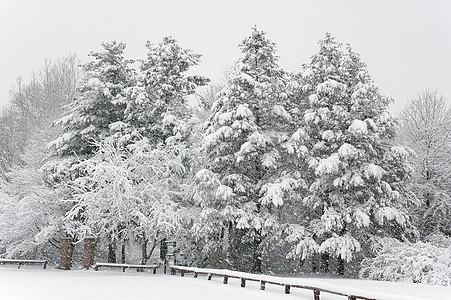 公园清雪背景图片