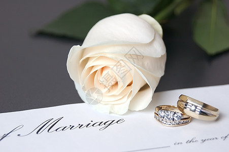 结婚戒指婚姻玫瑰执照婚礼钻石背景图片