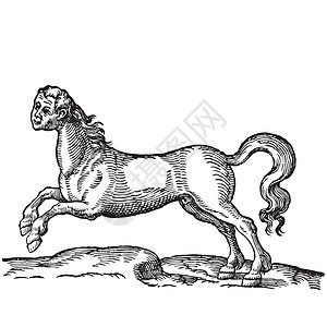 马头有人头的马故事传奇古董艺术动物绘画插图手绘雕刻男人图片