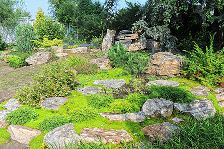 园林设计园艺草地入口住房石头院子绿化投资风格植物群图片