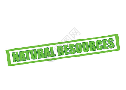 自然资源矩形邮票腱子资源方法学院绿色橡皮墨水图片