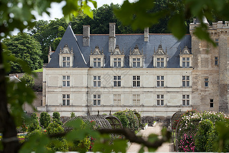 是位于法国卢瓦尔河谷的一座城堡恶棍建筑学地标旅行建筑花园葡萄园艺术图片