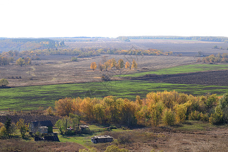 俄罗斯的秋天风景与田野和树木图片