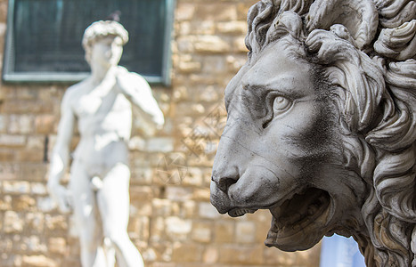 佛罗伦萨的狮子或夫人雕塑雕像艺术雕刻建筑物大理石广场鬃毛动画片领主图片