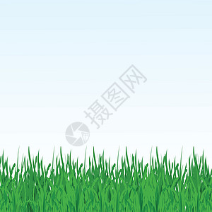 配有鲜花和草的绿夏地矢量插图成长园艺阳光季节太阳强光全景边界叶子花园图片