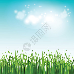 配有鲜花和草的绿夏地矢量插图花园阳光天空天气晴天植物群场地蓝色日出成长图片