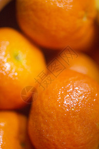红橘仁柑橘桔橙子背景图片