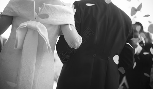婚嫁新娘和新郎的手握手婚礼套装人类新娘约会男士两个人水平庆祝结婚图片