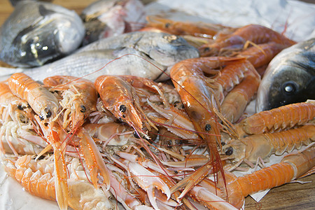 清蒸海鲈鱼地中海鱼类的鲜鱼饮食钓鱼贝类鲈鱼鲷鱼动物海鲜甲壳背景