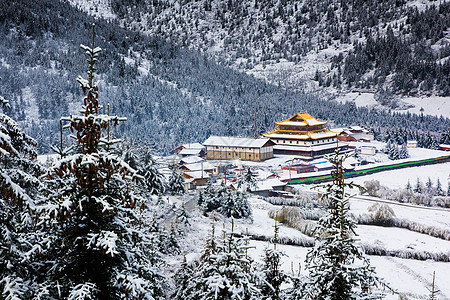 屋内雪山周围的森林图片