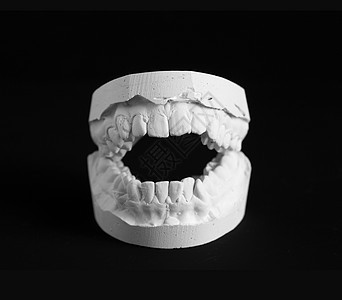 牙科假体石膏对象牙齿投掷口腔科牙模药品模具解剖学模型图片