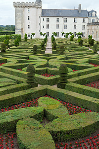 法国卢瓦尔谷花园和城堡树篱生长恶棍胡同花园衬套盒子灌木公园草本植物图片