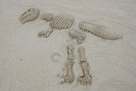 暴龙骨架恐龙型号骨头沙雕图片